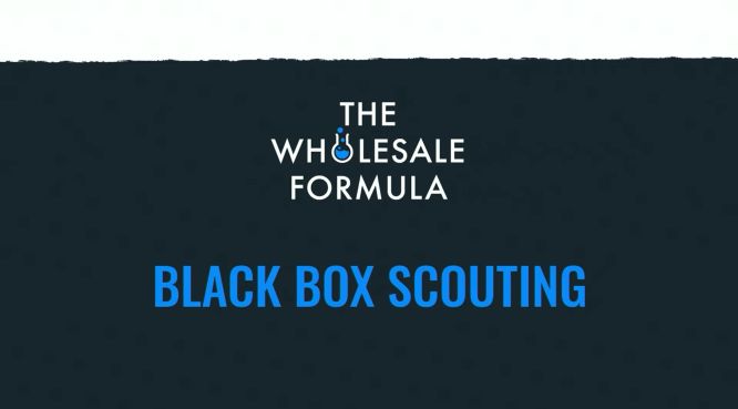 the wholesale formula - black box scouting