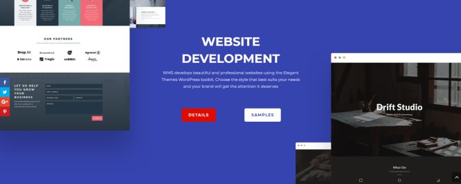 wms website development