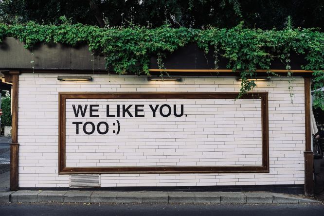 adam-jang-8pOTAtyd_Mc-unsplash poster street we like you, too