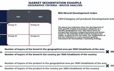 Workshop: Market Segmentation Example – Geographic Criteria & BDI/CDI Analysis