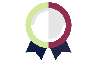Trophy, medal, ribbon, icon Network of opportunities