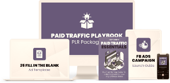 Paid Traffic Playbook WebMarketSupport News 333px